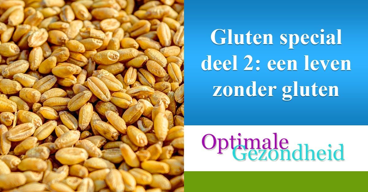 Gluten special deel 2 een leven zonder gluten
