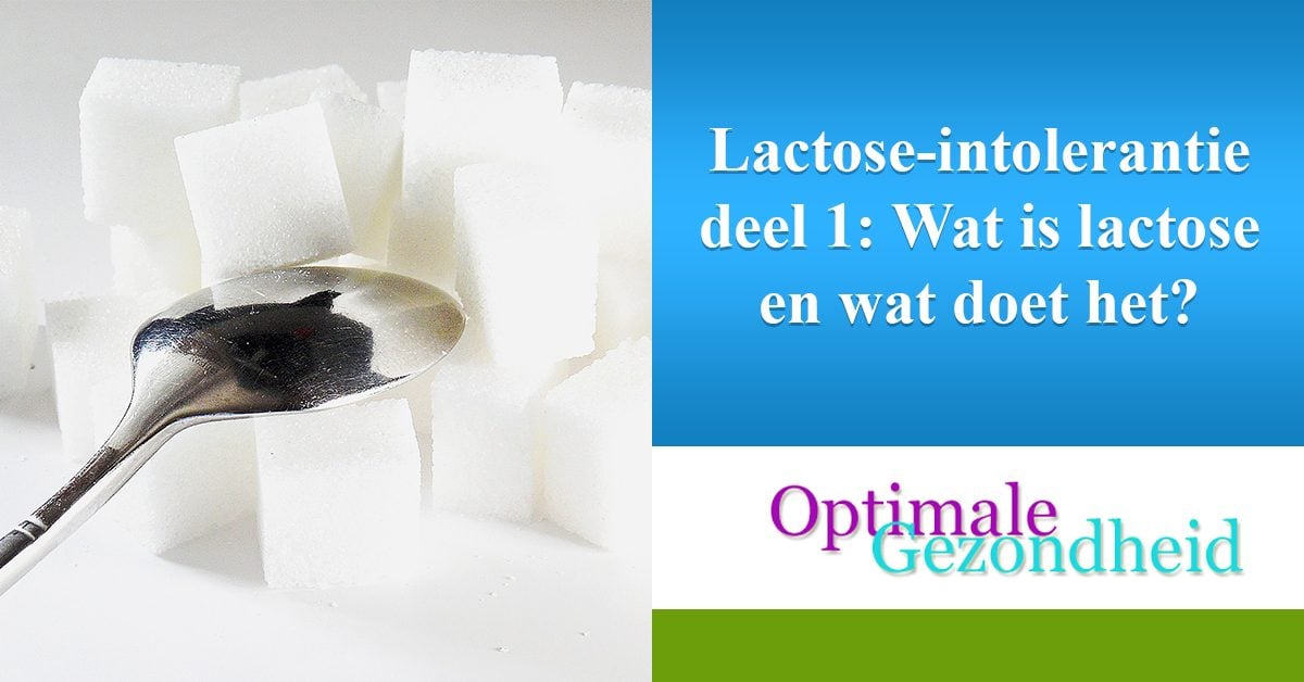 Lactoseintolerantie deel 1 Wat is lactose en wat doet het? Lactoseintolerantie deel 1 Wat is lactose en wat doet het?