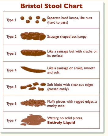 Bristol Stool Chart